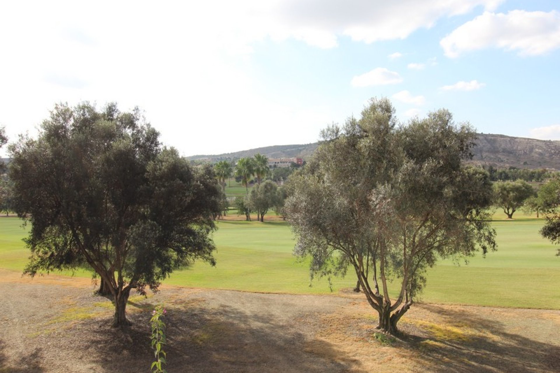 Re-Sale - Detached Villa - Algorfa