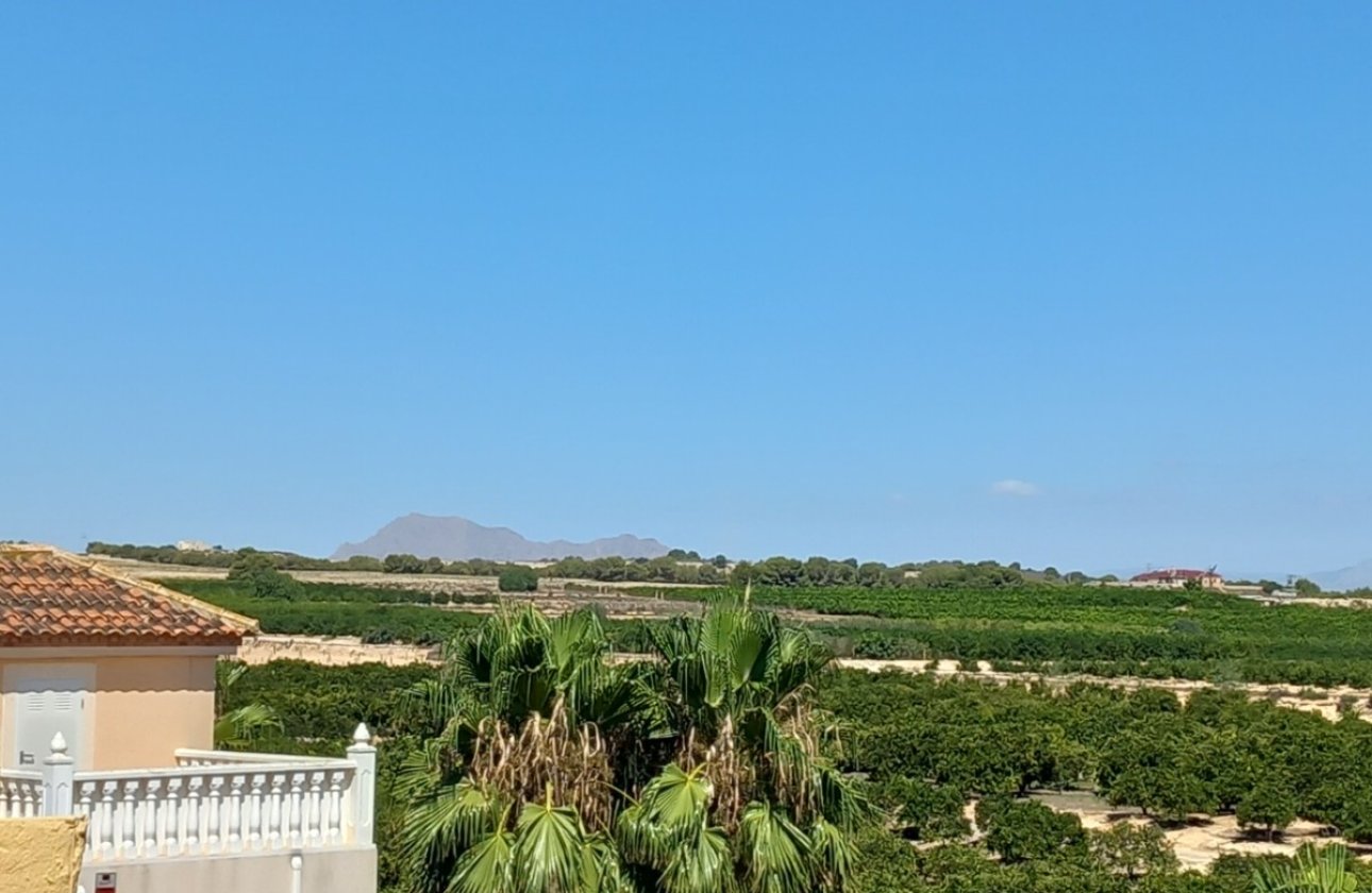 Re-Sale - Detached Villa - Algorfa