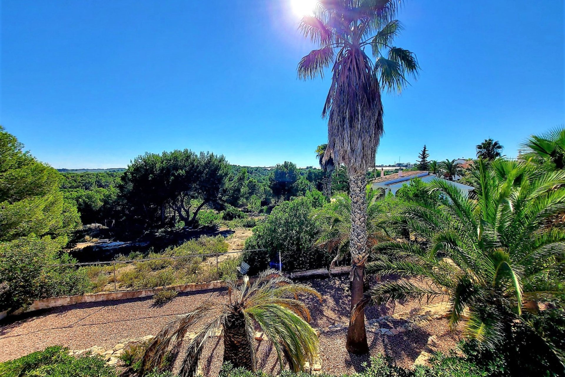 Re-Sale - Detached Villa - Algorfa