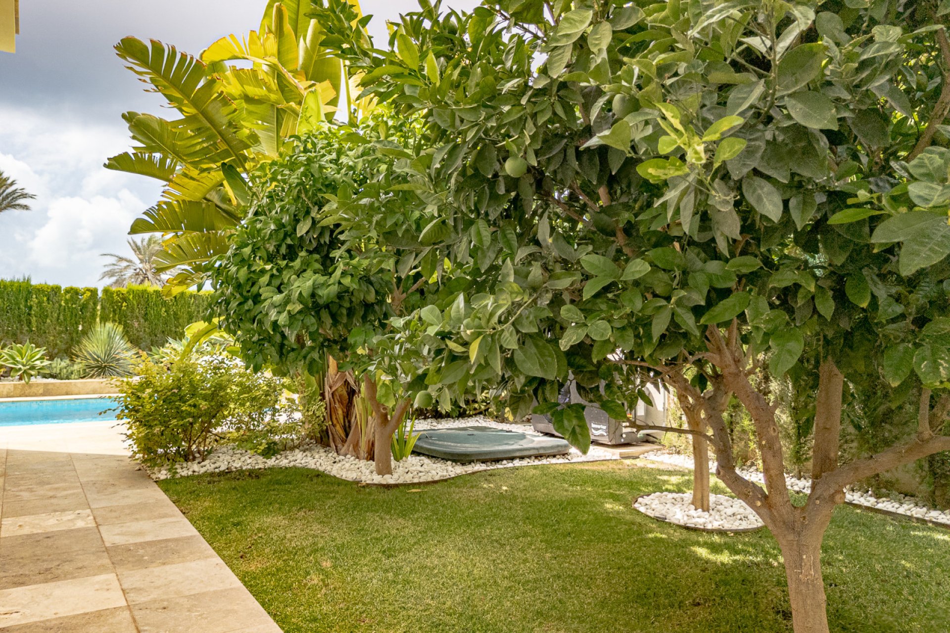 Re-Sale - Detached Villa - La Zenia - Beach