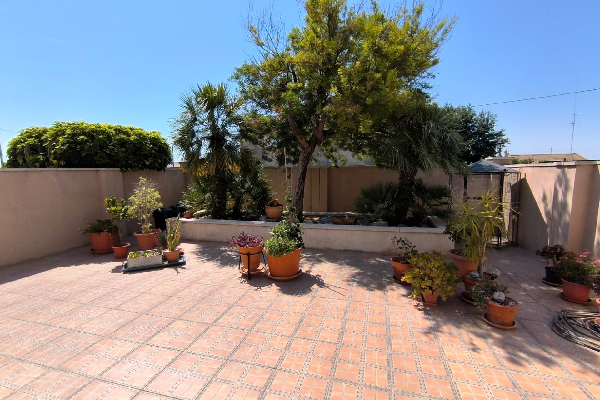 Re-Sale - Finca - Albatera