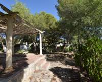 Re-Sale - Finca - Algorfa - Montemar