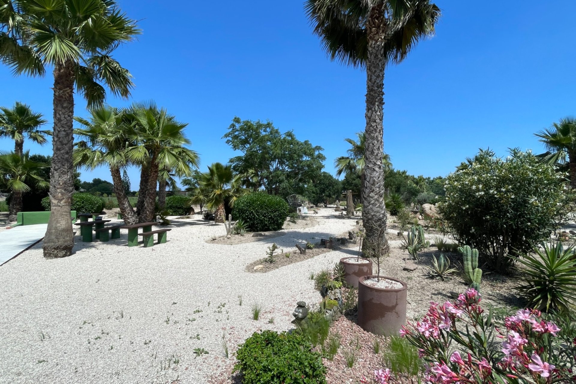 Re-Sale - Finca - Dolores