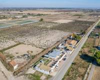 Re-Sale - Finca - Elche Pedanías - Daimés