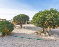 Re-Sale - Finca - Orihuela - San Bartolome