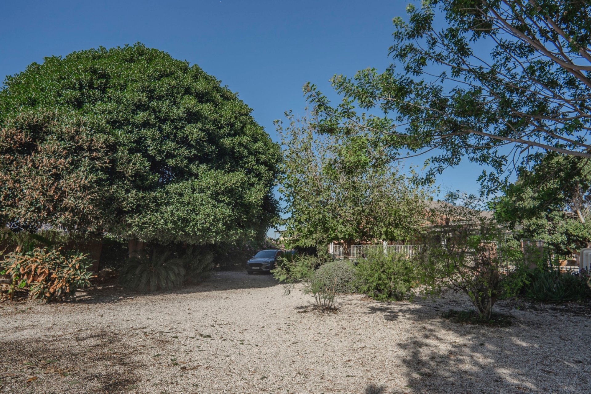 Re-Sale - Finca - Orihuela - San Bartolome