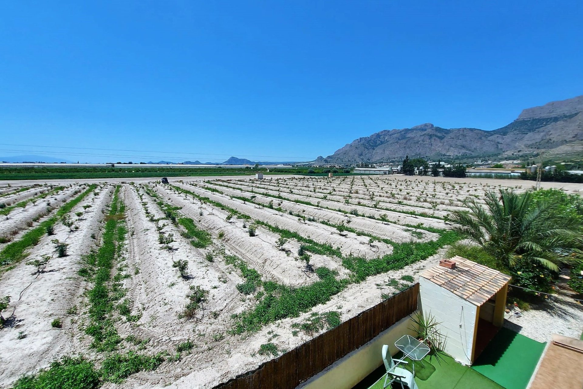 Re-Sale - Finca - Orihuela