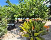 Re-Sale - Finca - Orihuela