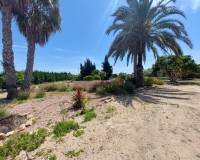 Re-Sale - Finca - San Miguel de Salinas