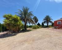 Re-Sale - Finca - San Miguel de Salinas