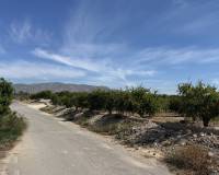 Re-Sale - Semi - Detached Villa - Albatera