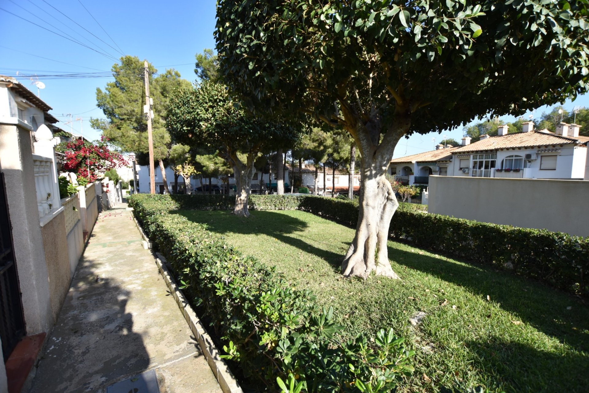 Re-Sale - Terraced house / Townhouse - Torrevieja - Lago Jardín II