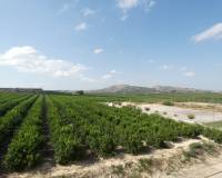 Reventa - Apartamento - Algorfa - Pueblo