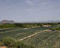 Reventa - Apartamento - Algorfa