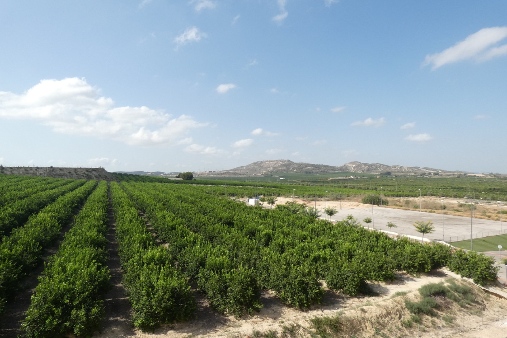 Reventa - Apartamento - Algorfa