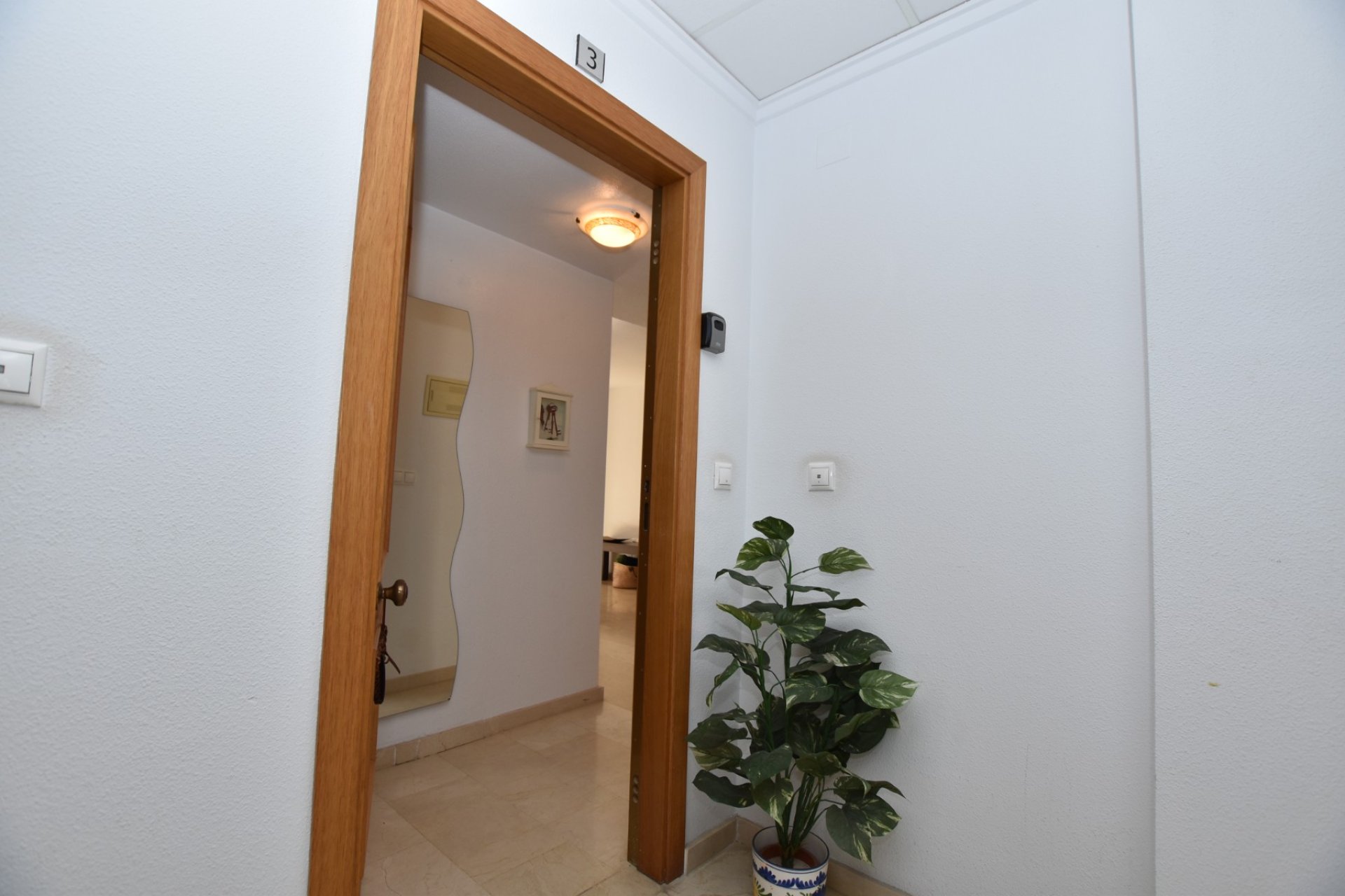 Reventa - Apartamento - Algorfa