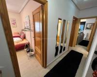 Reventa - Apartamento - Almoradí