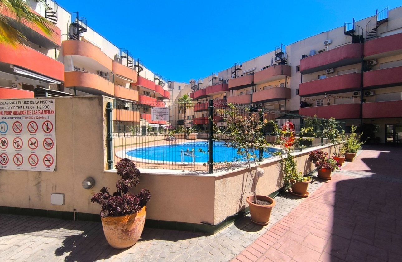 Reventa - Apartamento - Almoradí