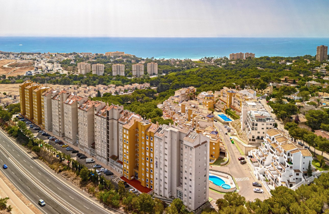 Reventa - Apartamento - Campoamor - Dehesa de Campoamor