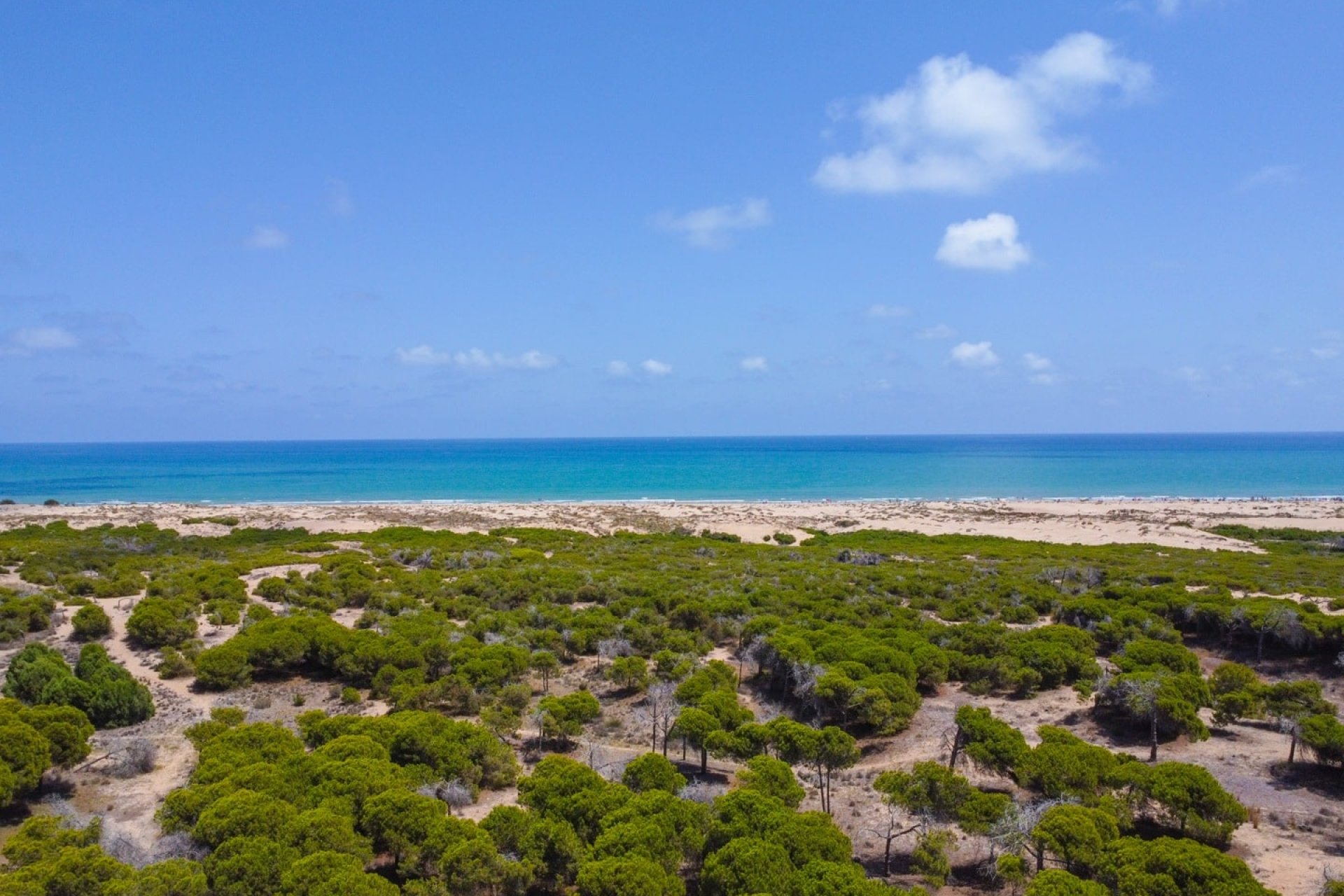 Reventa - Apartamento - Guardamar del Segura