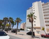 Reventa - Apartamento - Guardamar del Segura