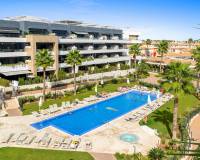 Reventa - Apartamento - Orihuela - Playa Flamenca