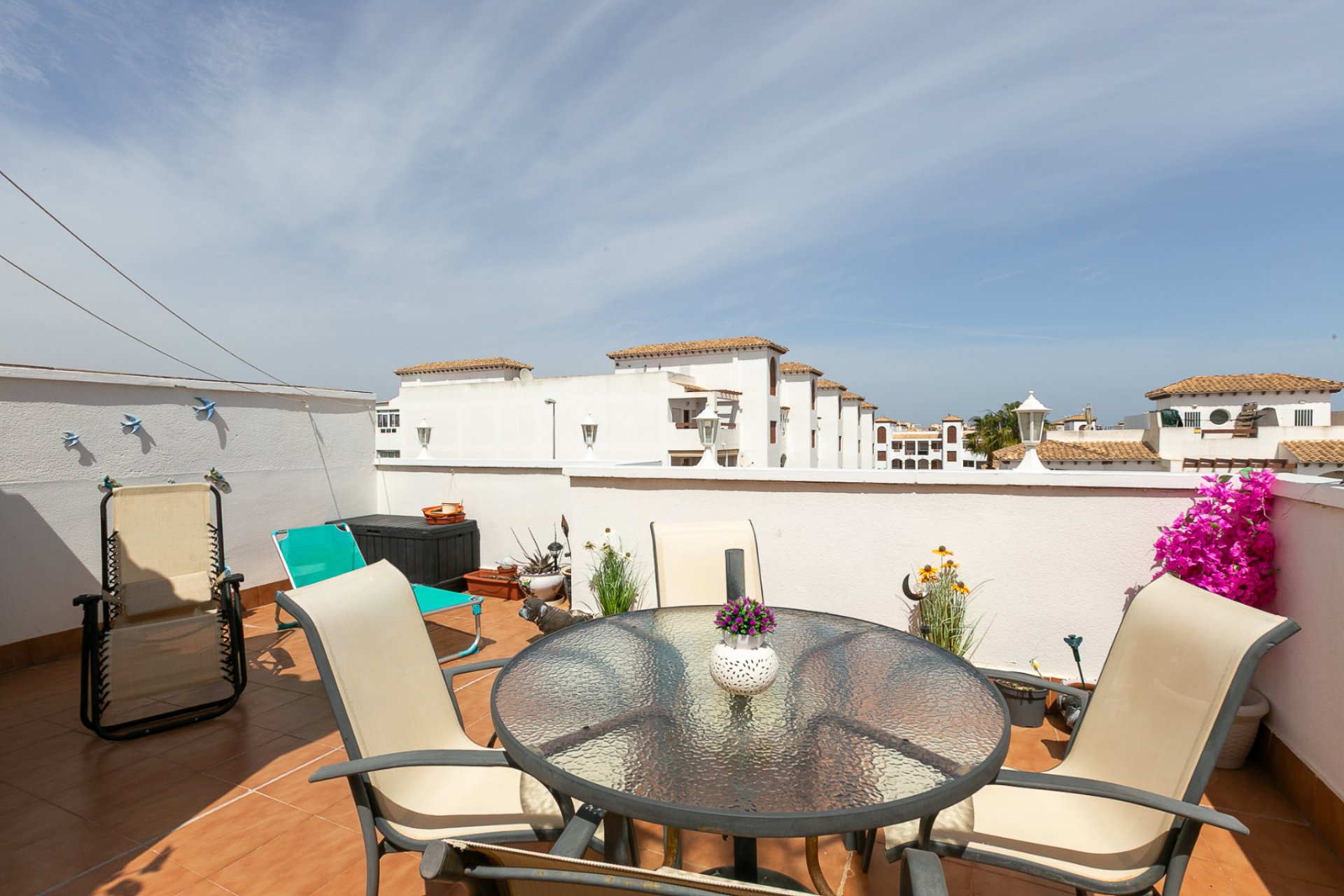 Reventa - Apartamento - Playa Flamenca - Zenia Mar