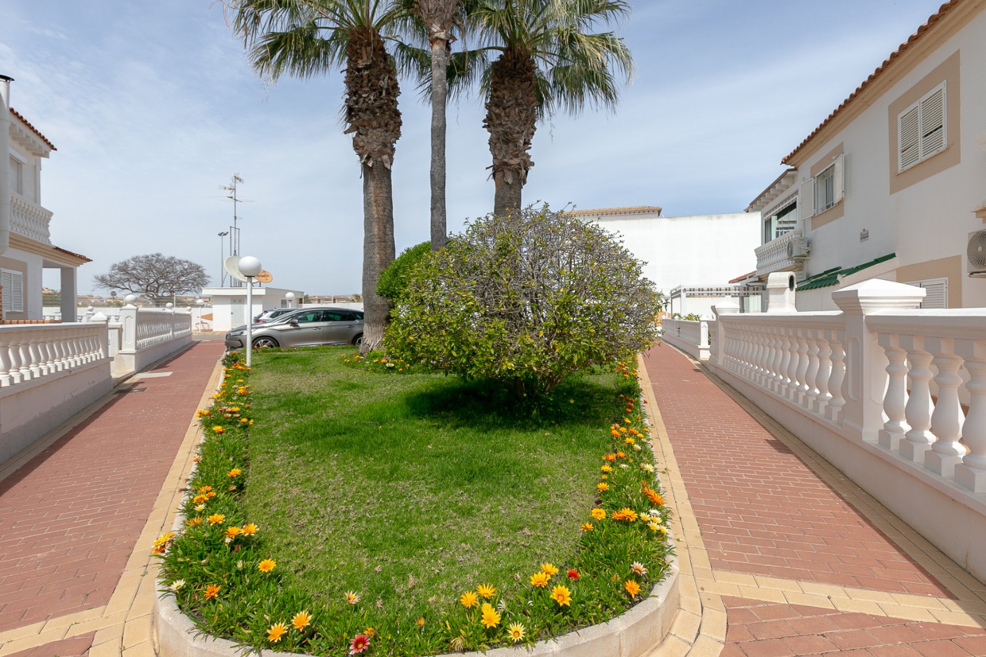 Reventa - Apartamento - Playa Flamenca - Zenia Mar