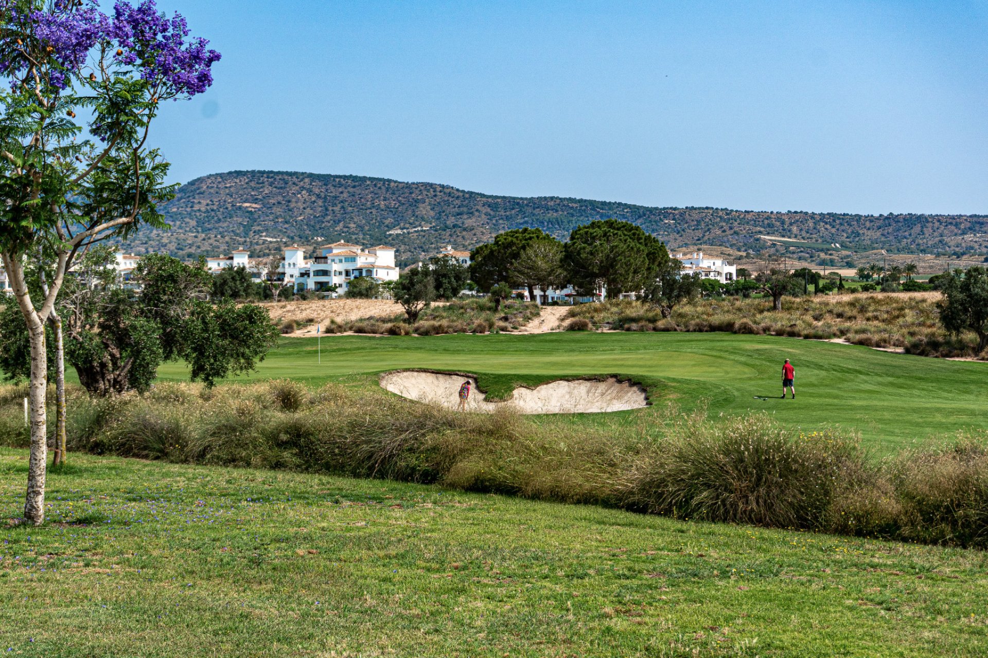 Reventa - Apartamento - Sucina - Hacienda Riquelme Golf