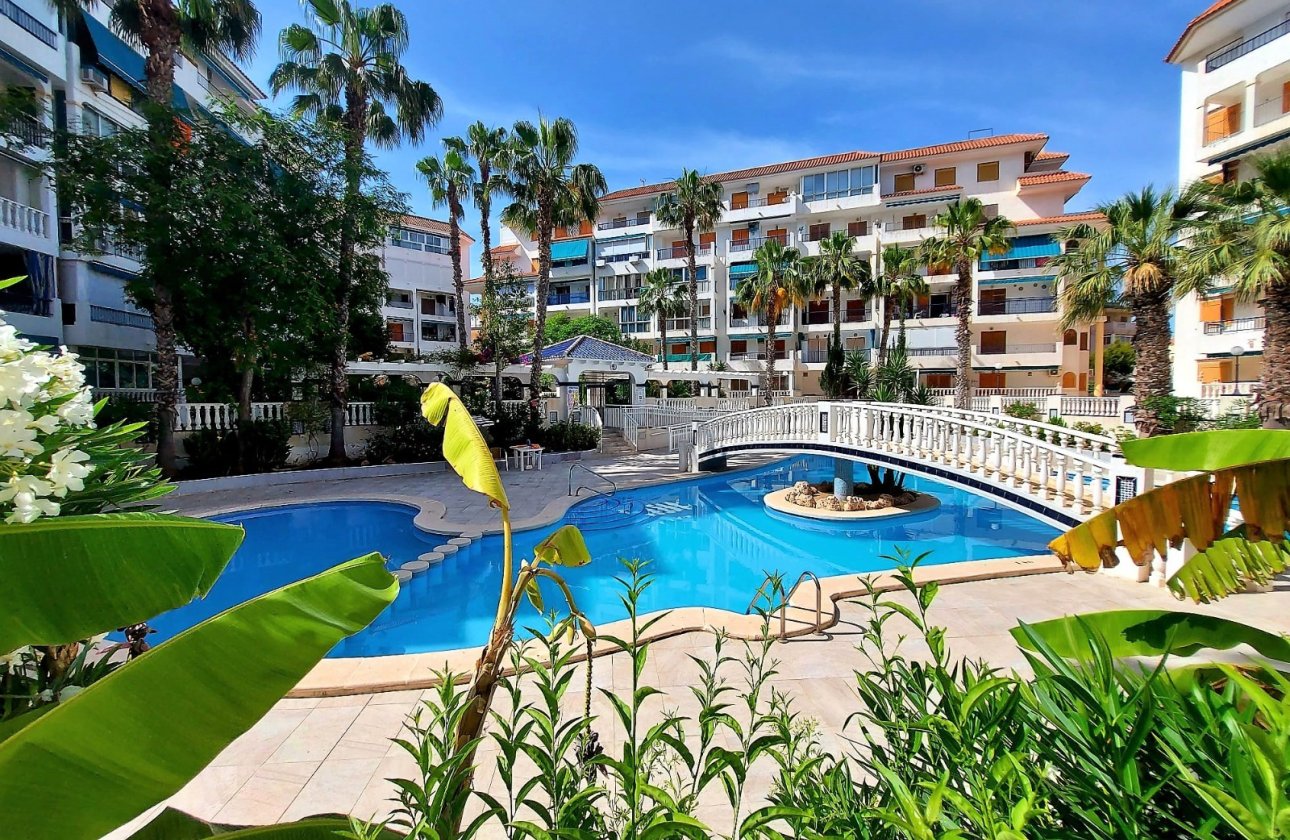 Reventa - Apartamento - Torrevieja - La Mata