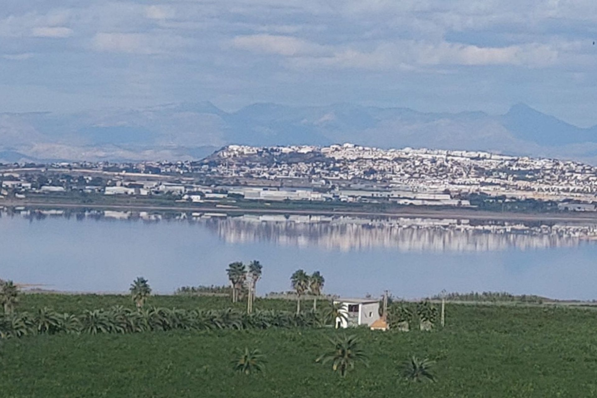 Reventa - Apartamento - Torrevieja - Los Balcones