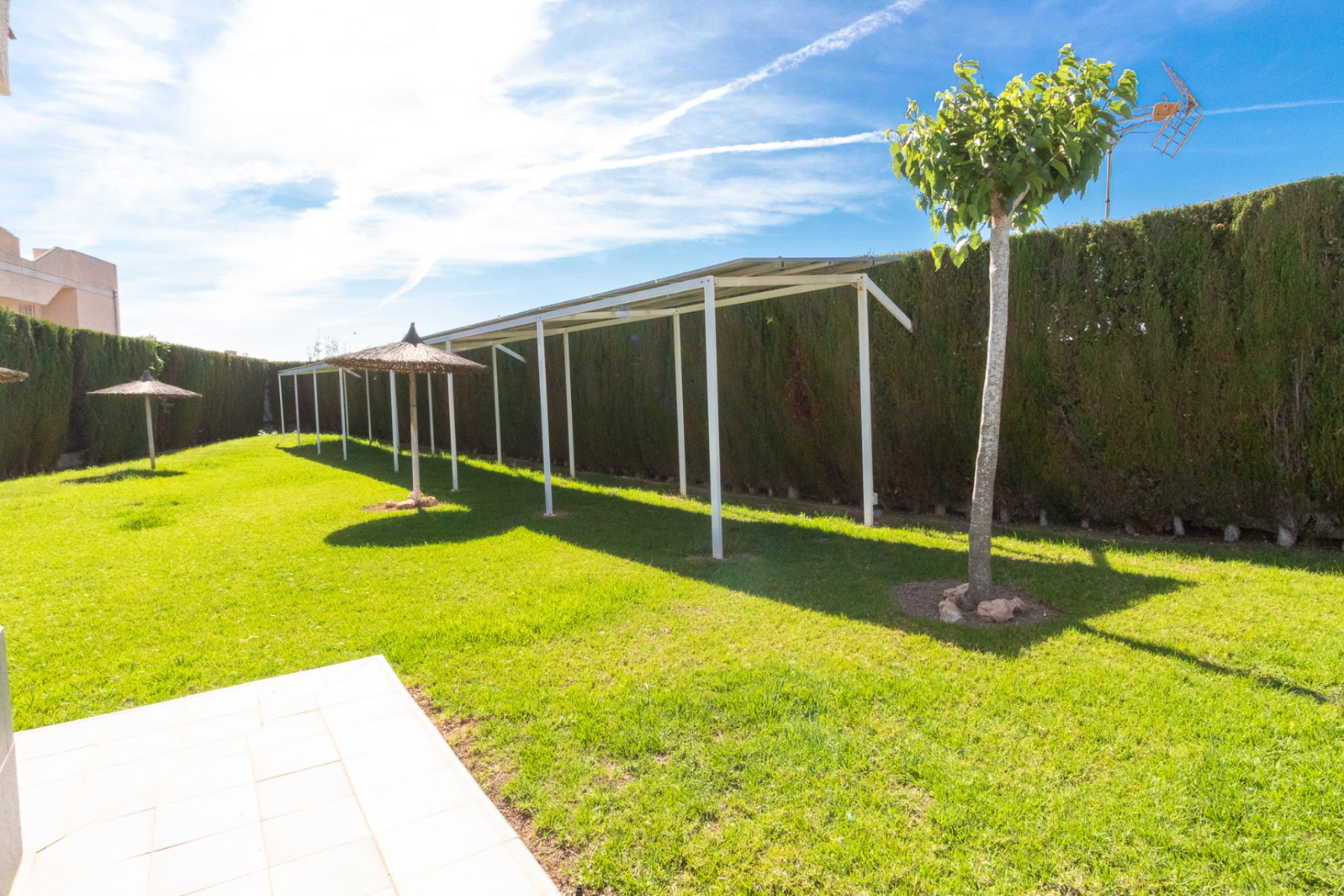 Reventa - Apartamento - Torrevieja - San Luis