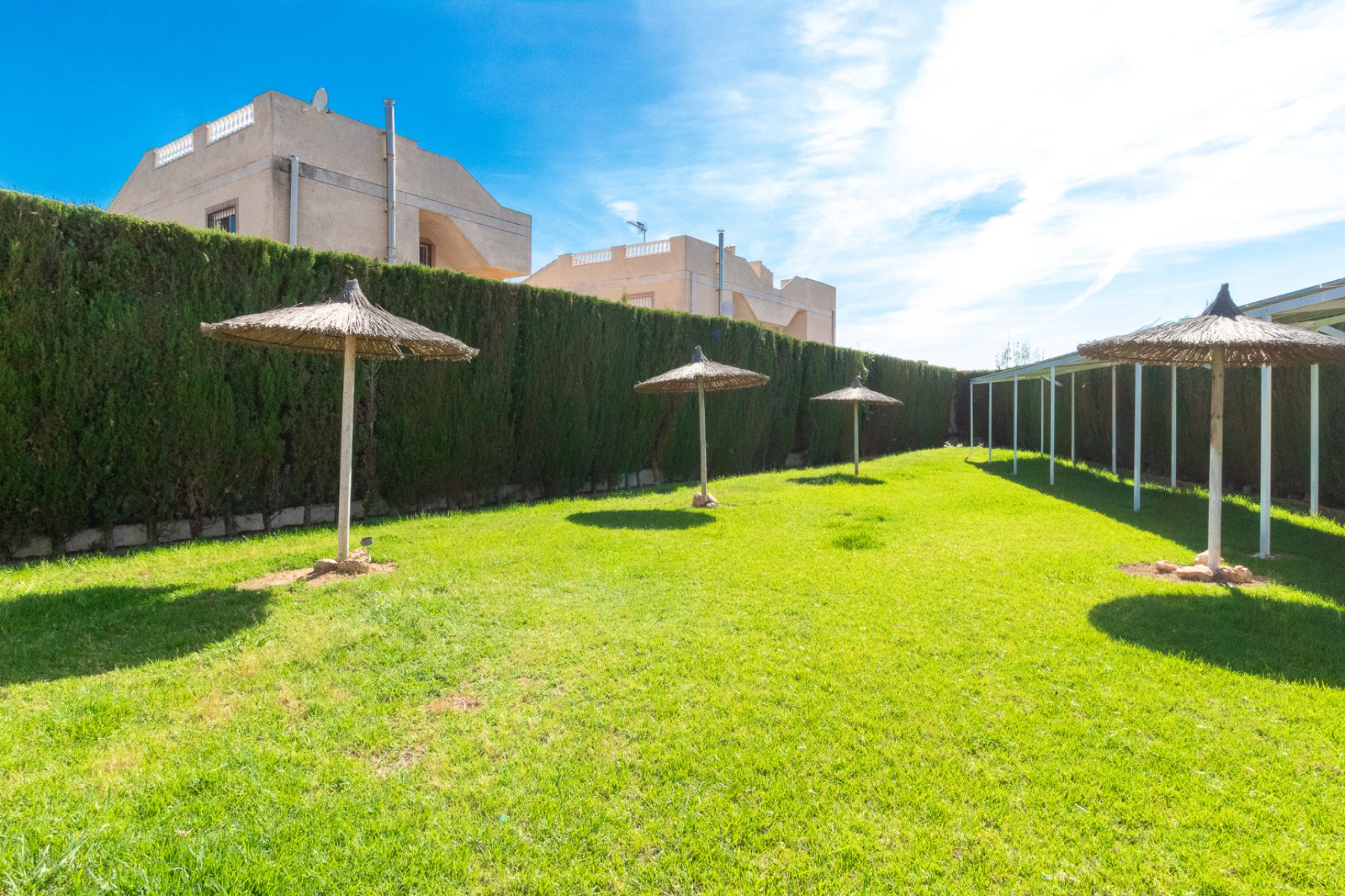Reventa - Apartamento - Torrevieja - San Luis