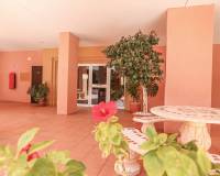 Reventa - Apartamento - Torrevieja