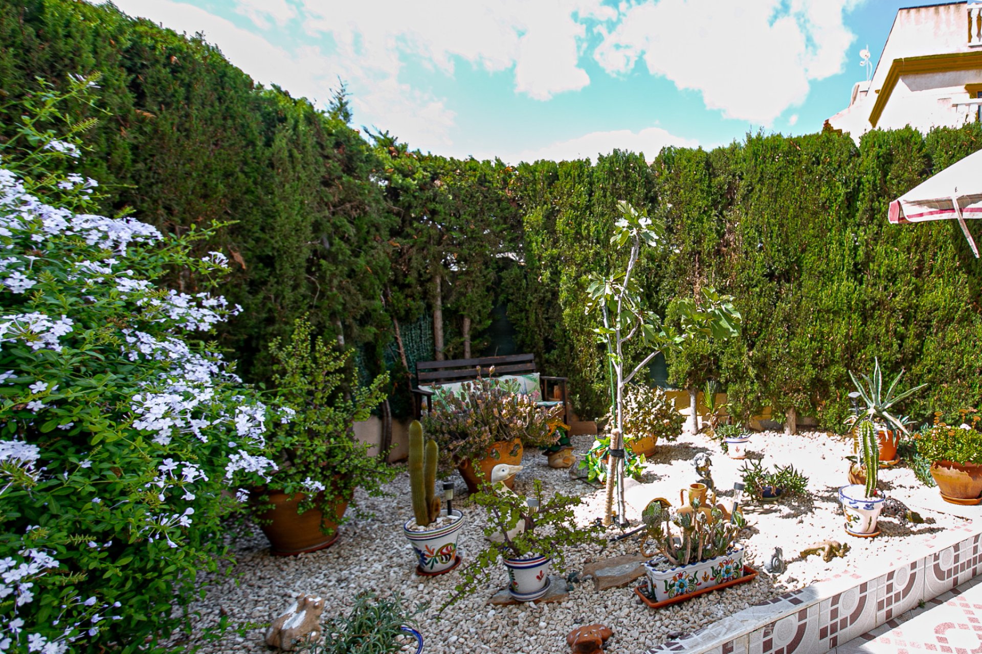 Reventa - Bungalow - Playa Flamenca - Orihuela Costa