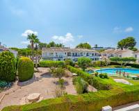 Reventa - Bungalow - Torrevieja - Lago jardin