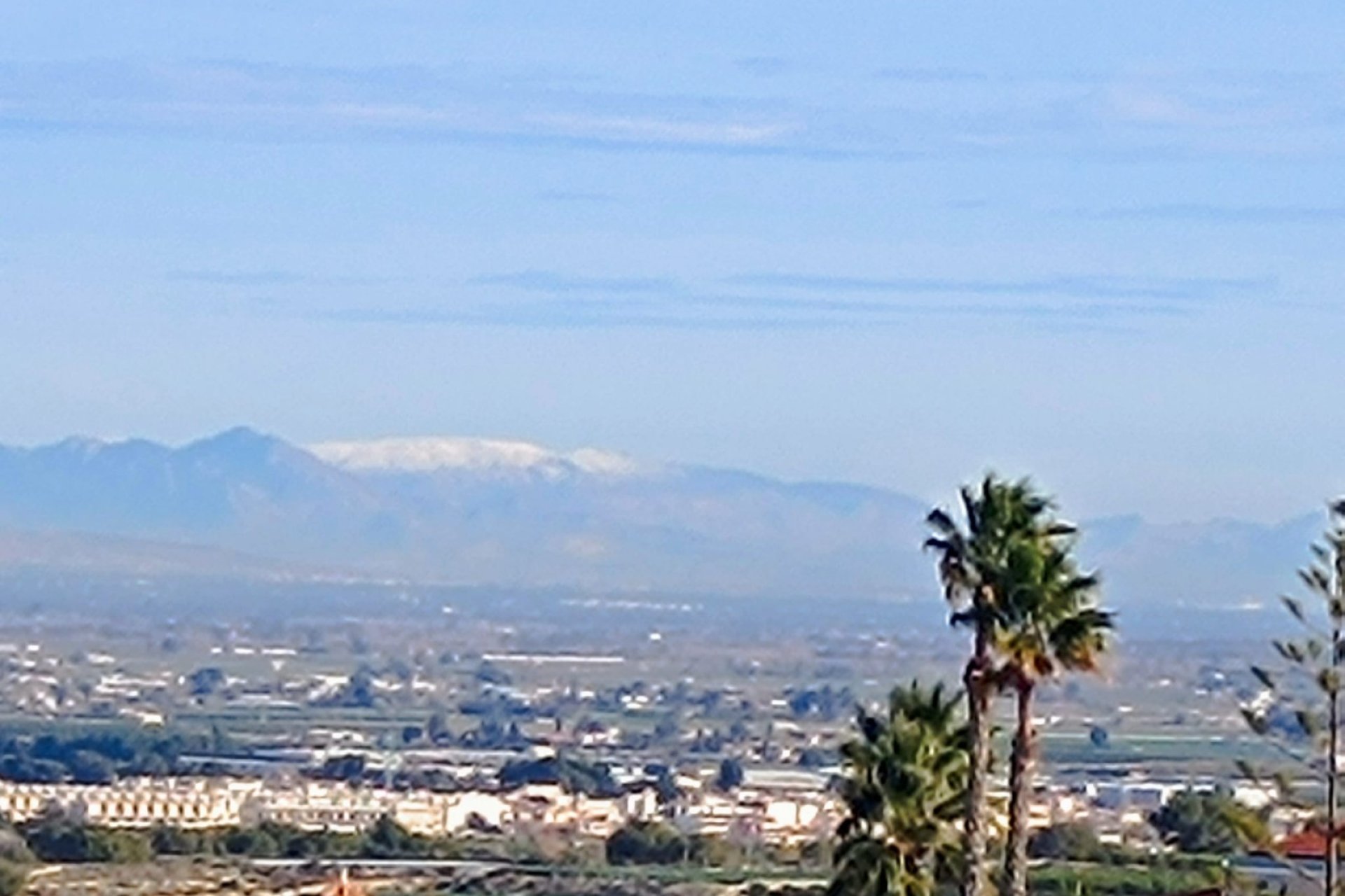 Reventa - Chalet Independiente - Algorfa - Almoradí