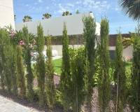 Reventa - Chalet Independiente - Algorfa - La Finca Golf