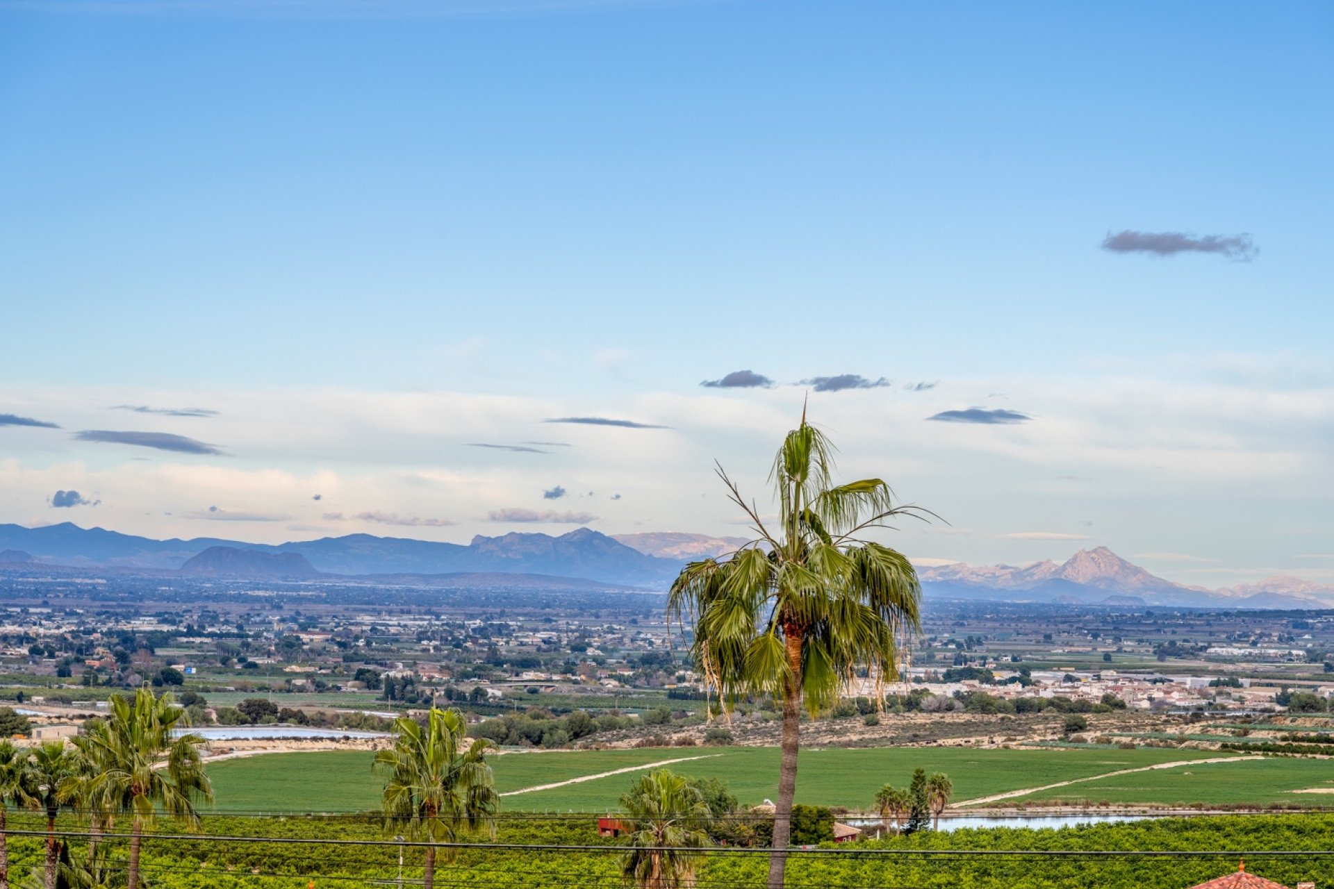 Reventa - Chalet Independiente - Algorfa - Lomas De La Juliana