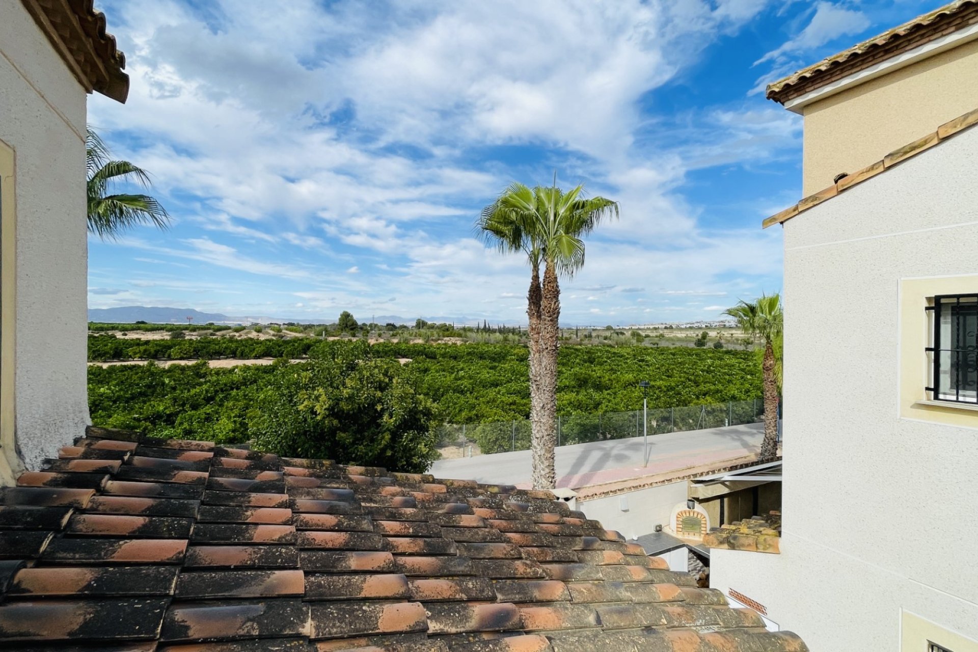 Reventa - Chalet Independiente - Algorfa