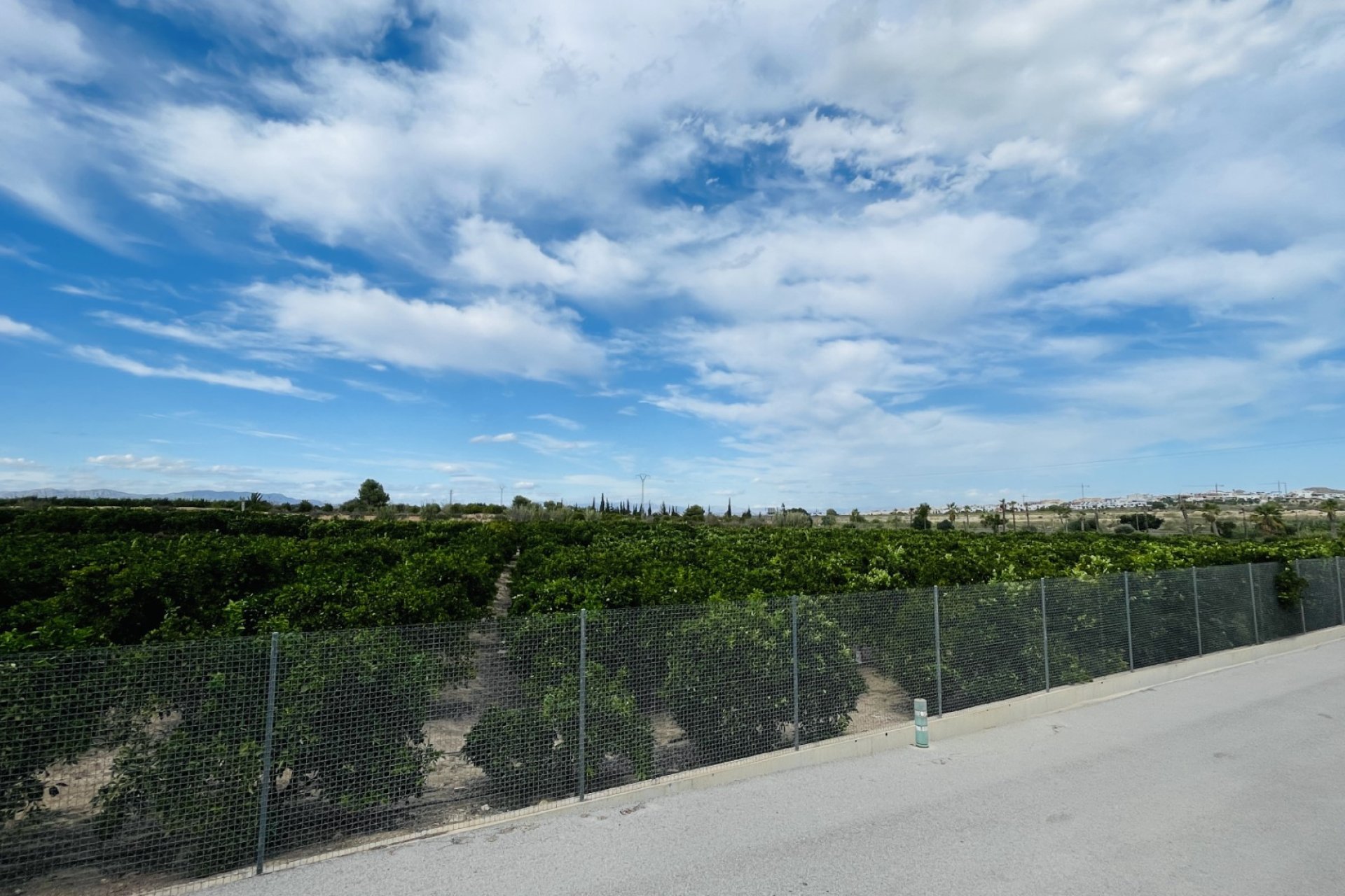 Reventa - Chalet Independiente - Algorfa