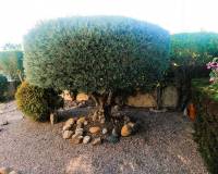 Reventa - Chalet Independiente - Algorfa