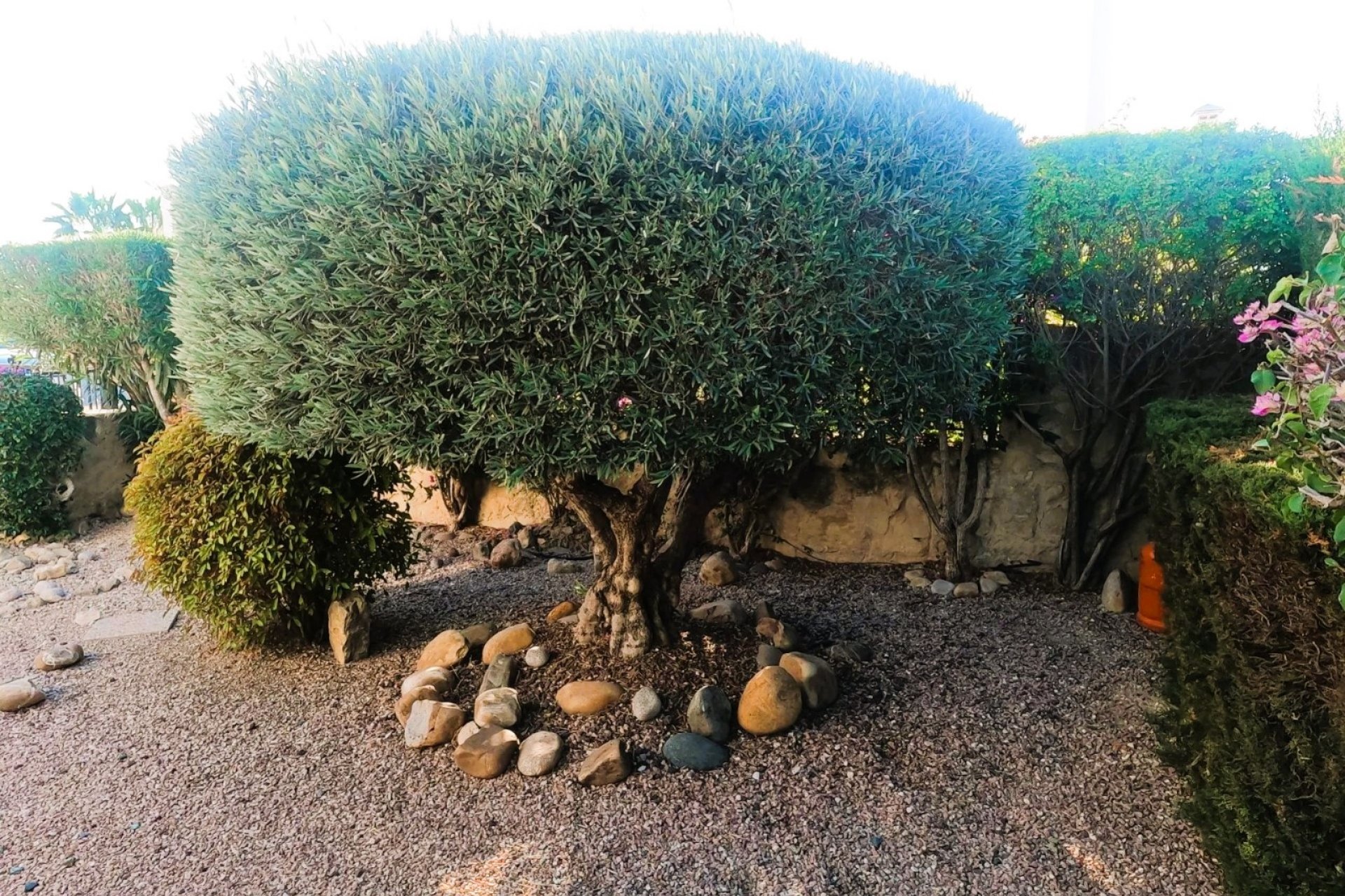 Reventa - Chalet Independiente - Algorfa