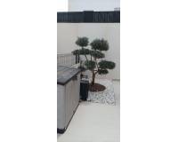 Reventa - Chalet Independiente - Algorfa
