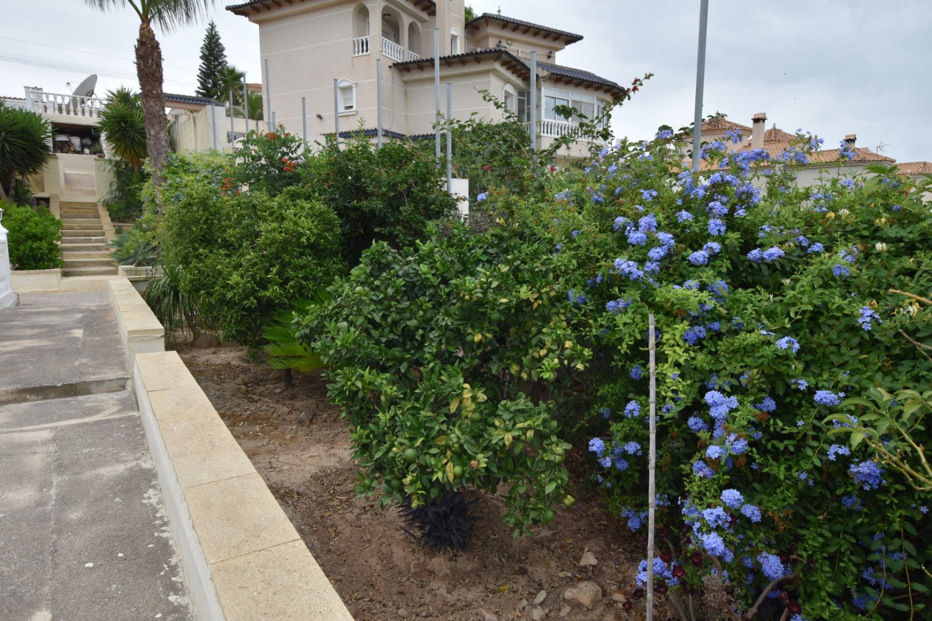 Reventa - Chalet Independiente - Algorfa