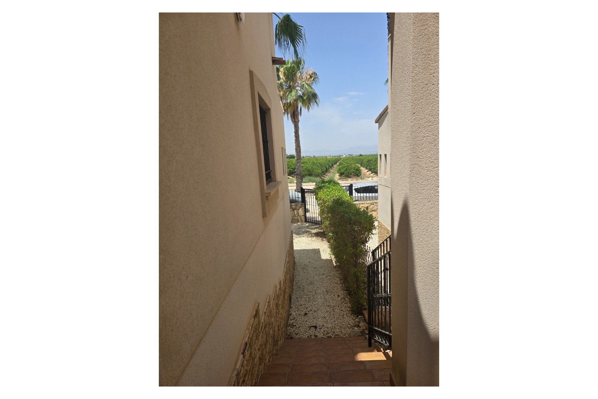 Reventa - Chalet Independiente - Algorfa