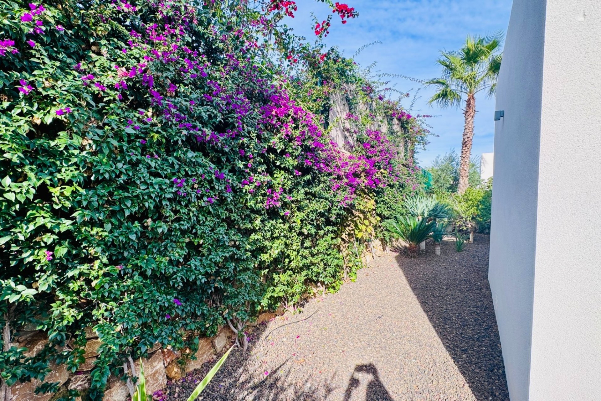 Reventa - Chalet Independiente - Algorfa