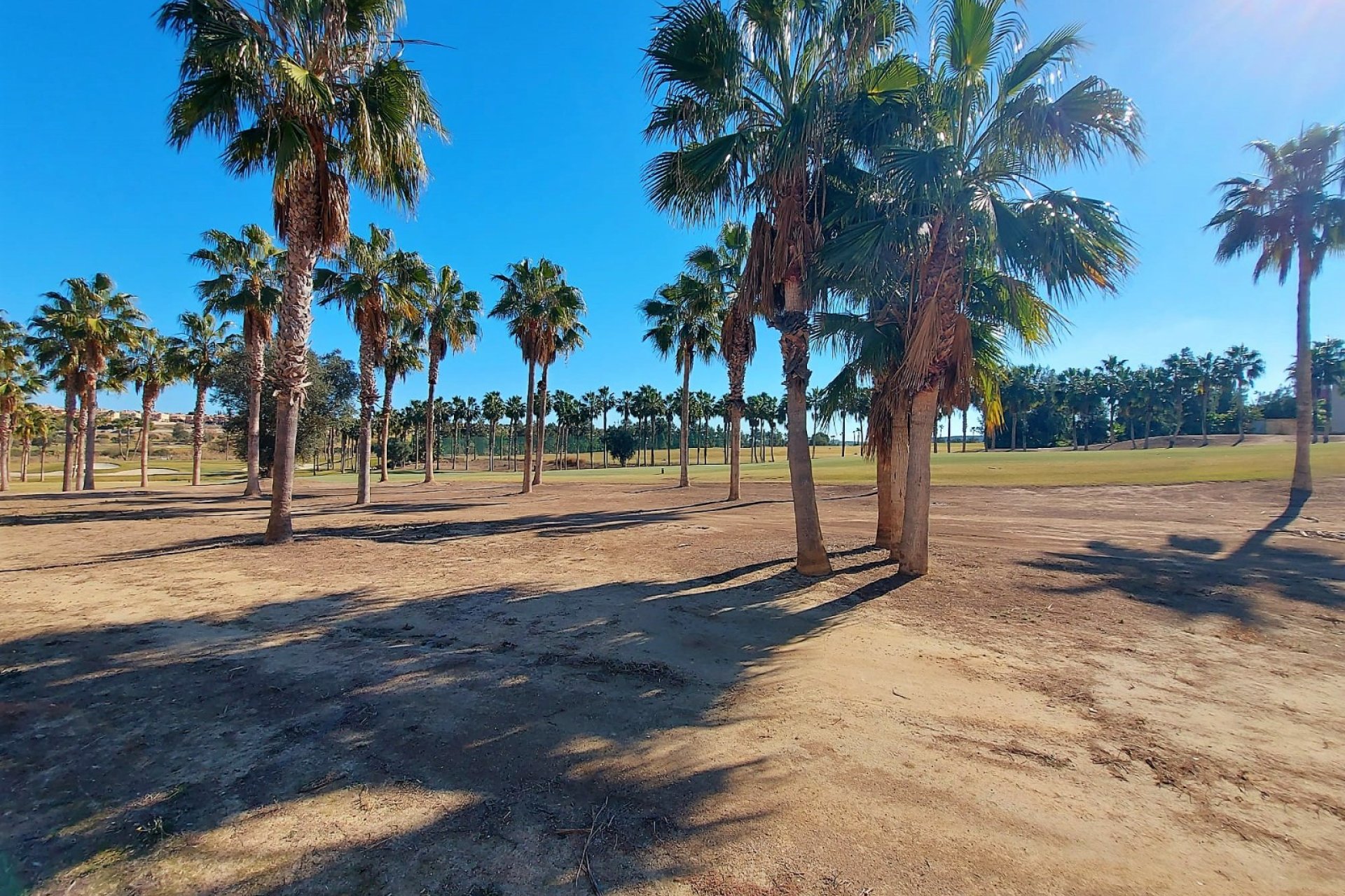 Reventa - Chalet Independiente - Algorfa