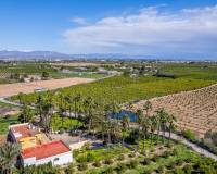 Reventa - Chalet Independiente - Jacarilla