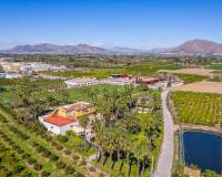 Reventa - Chalet Independiente - Jacarilla